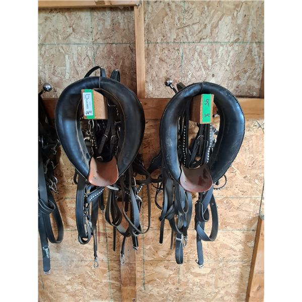 (2) Mini Driving Harnesses w/Bridles