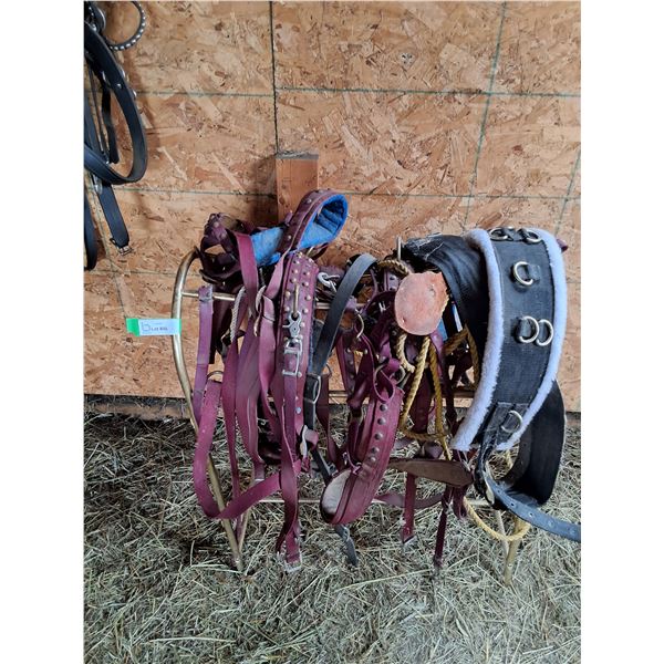 Mini Harnesses on Metal Saddle Rack
