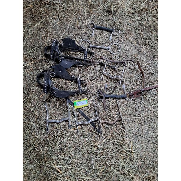 Mini Driving Bridles With Blinders and Various Bits