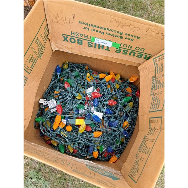 Christmas Tree Lights in Box