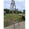 Image 1 : Wooden Ladder - 9.5ft Tall