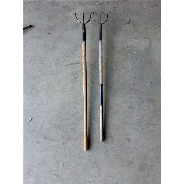 (2) Pitch Forks
