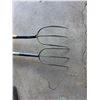 Image 2 : (2) Pitch Forks