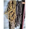 Image 3 : Rope & Harness Items Lot