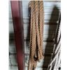 Image 2 : (3) Heavy Duty Ropes w/Clips