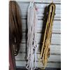 Image 3 : (3) Heavy Duty Ropes w/Clips