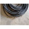 Image 3 : Garden Hose - Over 100 Ft