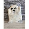 Image 1 : Ghost Pillow Stuffie 12 Inch - Brand New