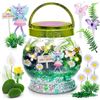 Image 1 : Amitie Diy Terrarium Kit Fairy - Brand New
