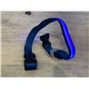 Image 4 : LED Dog Collar Medium - Blue