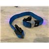 Image 3 : LED Dog Collar Medium - Blue
