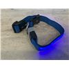 Image 5 : LED Dog Collar Medium - Blue