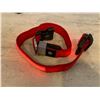 Image 2 : LED Dog Collar Large - Red