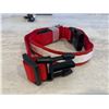 Image 4 : LED Dog Collar Large - Red