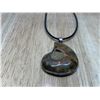 Image 2 : Vintage Ammonite Shell With Necklace