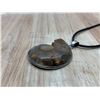 Image 3 : Vintage Ammonite Shell With Necklace