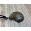 Image 6 : Vintage Ammonite Shell With Necklace