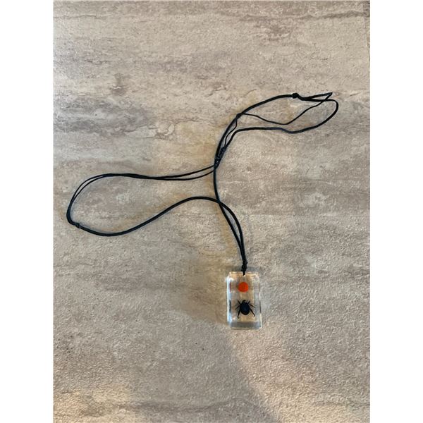 Beetle Preserved In Resin