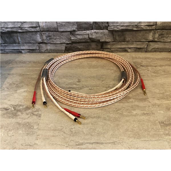 DERGT 12TC HiFi Cable With 2 Banana Plug to 2 Banana OCC Speaker Wire - 3 Meters