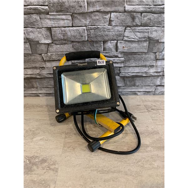 Magnum LED Flood Light