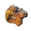 Image 2 : 2003 John Durning B.C. Carved Burl Salmon Plaque
