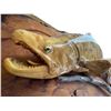 Image 4 : 2003 John Durning B.C. Carved Burl Salmon Plaque