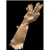 Image 8 : Film Prop: 2014 Dawn Of The Planet Of The Apes Mask & Arm From the Estate Bill Terrzakis