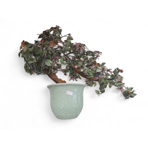 Vintage Jade Plant