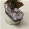 Image 3 : Amethyst Bonsai Tree