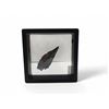 Image 1 : Natural Rare Black Kyanite Specimen