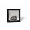 Image 1 : Natural Ruby With Matrix Quartz Specimen