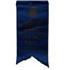 Image 2 : 1931 Holy Name Society Ribbon Badge