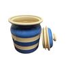 Image 3 : Vintage T G Green Church Gresley Blue Stripe Lidded Jar