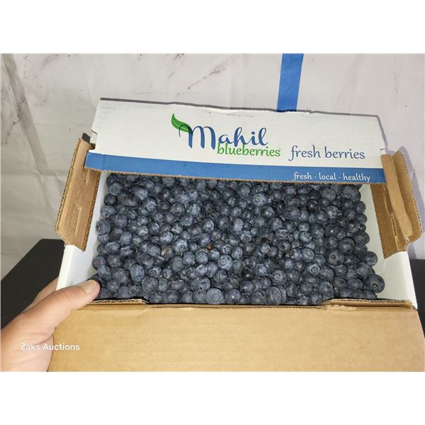 Fresh 5lb Box of Blueberries Yummy 😋