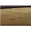 Image 9 : DECORATIVE CANOES