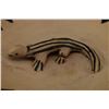 Image 7 : COCHITI POTTERY PLATE