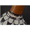 Image 9 : JEMEZ RATTLE (F SHENDO)