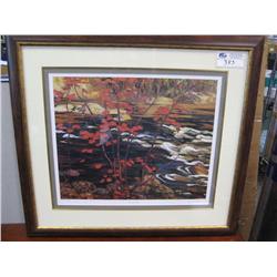 Limited Edition Print 625/1750 "the Red Maple"