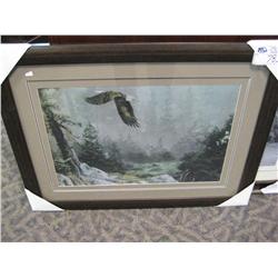 Framed Print "eagle"