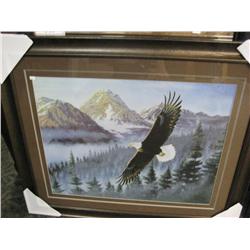 Framed Print "soaring High"