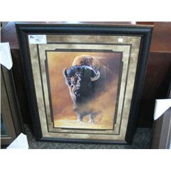 Framed Print "buffalo King"