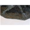 Image 3 : Clemente Spampinato "Bulldogging Contest" Bronze