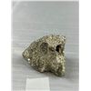 Image 2 : Lot of 2 Stones, Pyrite and Black Bumaline Rough