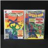 Image 1 : LOT OF 2 MARVEL TALES FEATURING SPIDERMAN COMICS - MARVEL