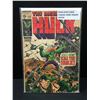 Image 1 : MARVEL COMICS NO.120 THE INCREDIBLE HULK