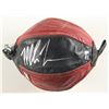 Image 2 : MIKE TYSON SIGNED SPEED BAG IN DISPLAY (TYSON COA)