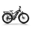Image 1 : Himiway D3 Electric Bike