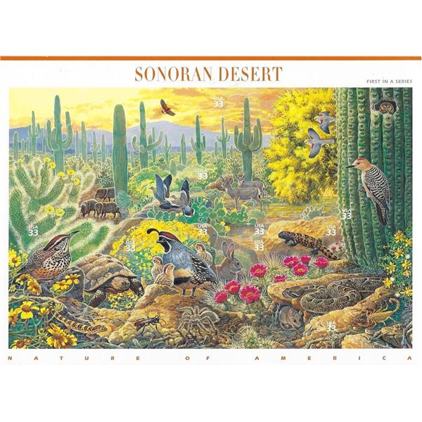 Sonoran Desert Stamp Set