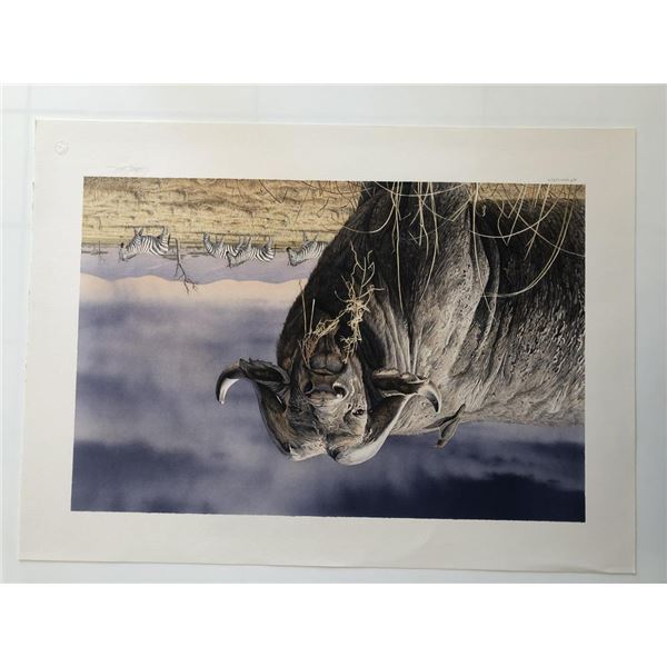 African Buffalo Print