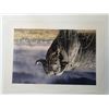 Image 1 : African Buffalo Print